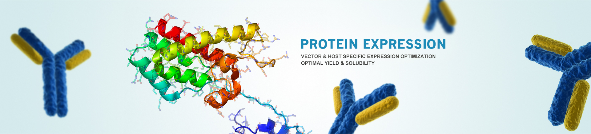 protein expression