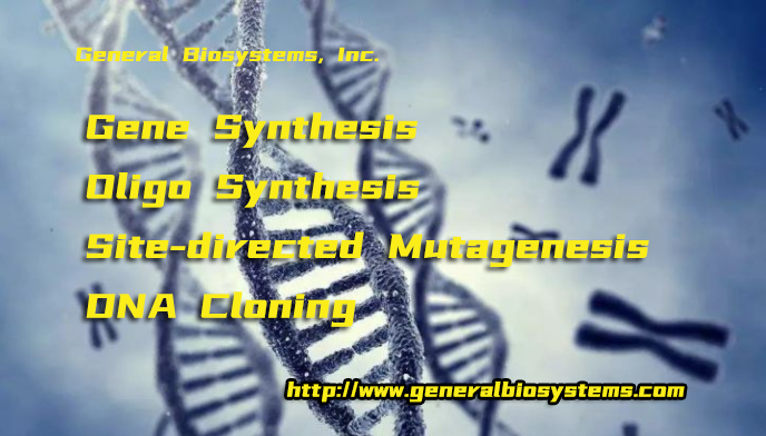 Gene Synthesis Oligo Synthesis  Site-directed Mutagenesis  DNA Cloning